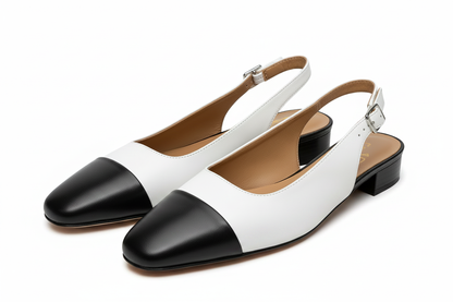 IMG_0254 – white background