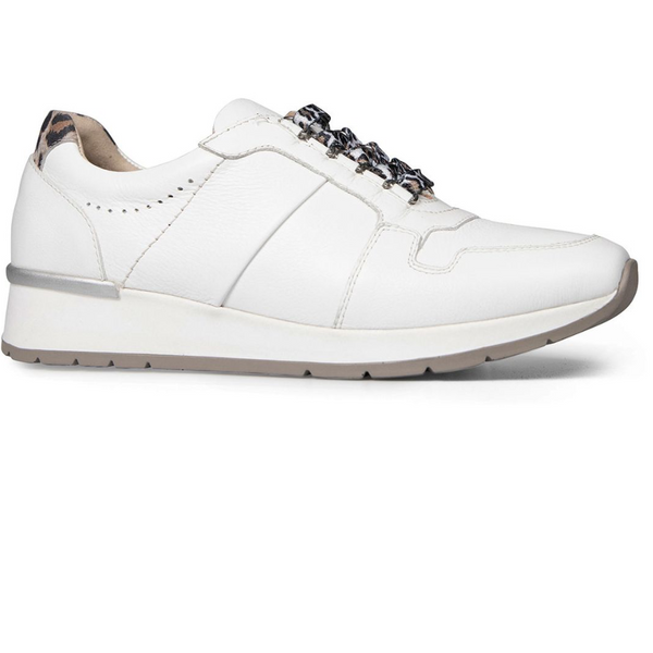 Van Dal Ladies Reydon Lace Up Sneaker White
